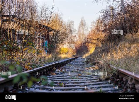 Overgrown Railway Track Hi Res Stock Photography And Images Alamy