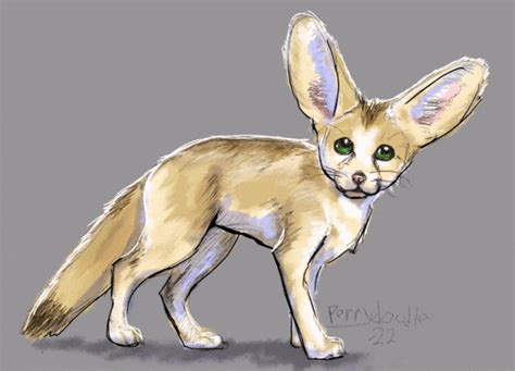 Fennec  By Perrydoodle On Deviantart