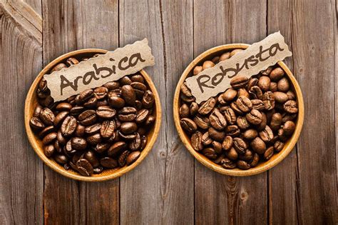 Pencinta Kopi Wajib Tahu Perbedaan Dan Manfaat Kopi Arabika Dan