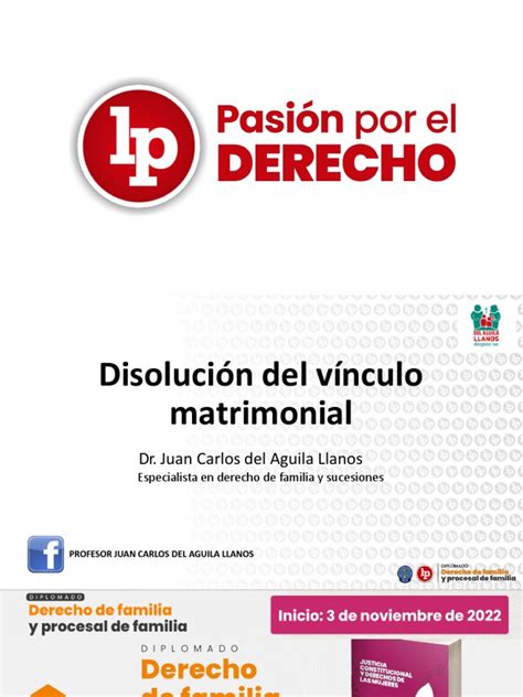 Disolución Del Vínculo Matrimonial Pdf Gratis Pdf