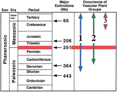 Geologic Time Scale Showing Major Mass Extinctions And The Occurrence