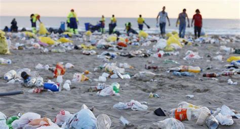 C Mo Afecta La Basura Al Medio Ambiente