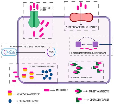 Jox Free Full Text Review On Multiple Facets Of Drug Resistance A