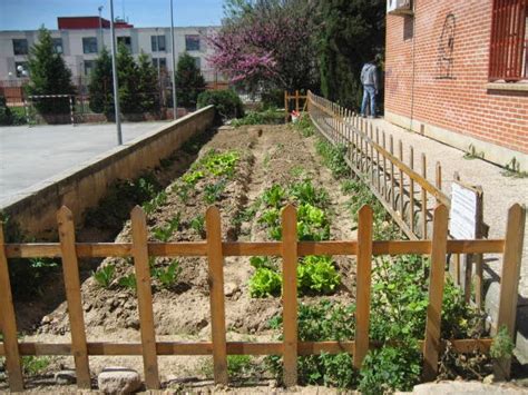 Educaci N Ambiental En El Valle Del Tajo Huerto Ies Puerta De Cuartos