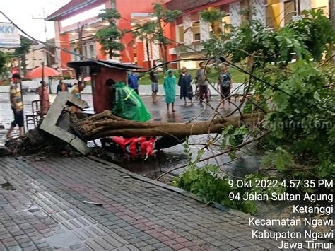 Hujan Es Disertai Angin Kencang Landa Ngawi Rumah Warga Tertimpa Pohon