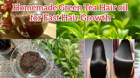 Homemade Green Tea Hair Oil For Fast Hair Growth Reduce Hair Fall For Long And Shiny Hair