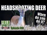 Fieldsports Britain George Digweed S Pigeon Shooting Tips Video