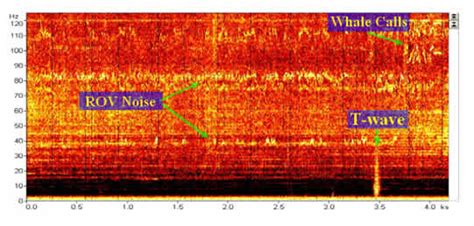 QUEphone PMEL Acoustics Program