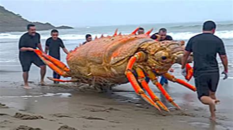 Pescador Captura La Criatura M S Aterradora Nunca Antes Vista Youtube