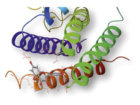 Molecular Docking Between Quercetin And Related Targets A E Download Scientific Diagram