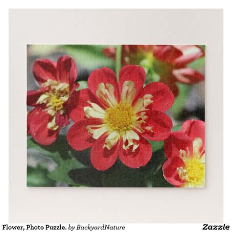 Flower Photo Puzzle Jigsaw Puzzle Flower Photos Photo Puzzle