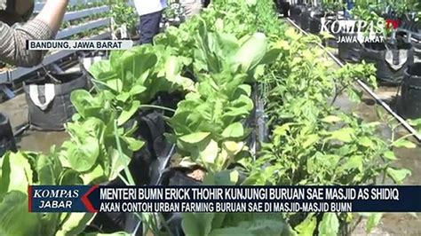 Menteri Erick Akan Contoh Urban Farming Buruan Sae Video Dailymotion