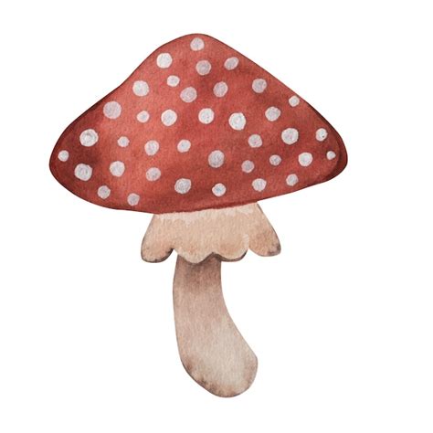 Premium Vector Red Fly Agaric Cartoon Style Hand Drawing Watercolor