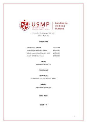 Tarea 9 Hemorragias Informe S9 PBM 1er ciclo FMH USMP Año del