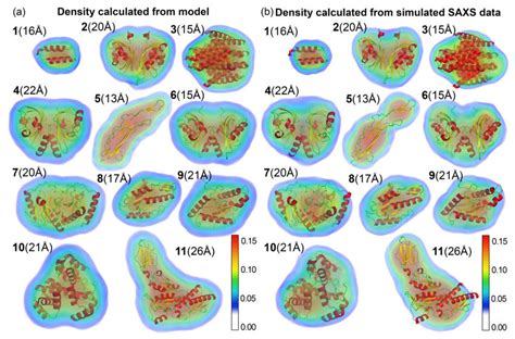 Electron Density Maps Calculated From Models And Simulated Saxs Data