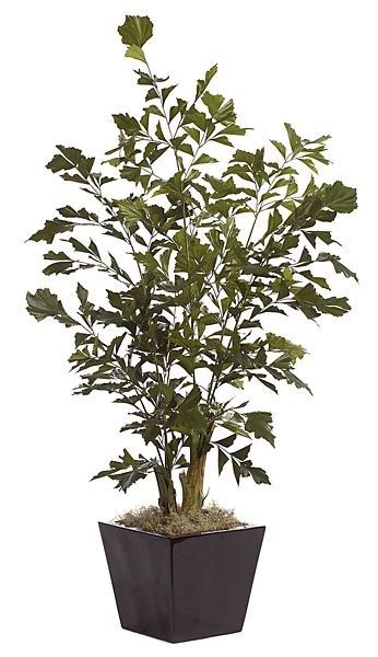 Earthflora Fire Retardant Artificial Trees And Palms 6 Fishtail