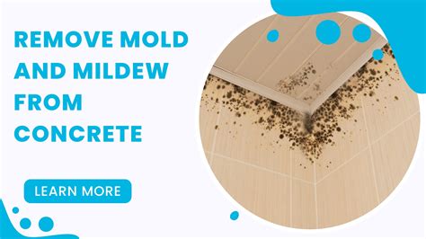 How To Remove Mold And Mildew From Concrete