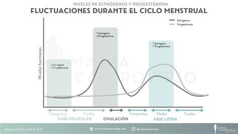 Afecta El Ciclo Menstrual Al Rendimiento Marta Castroviejo