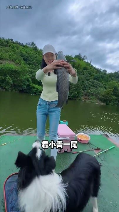 美女釣超大青魚，每條都有30公斤！ Shorts 釣魚 巨物 青魚 釣魚 Fishing 娜小娜愛釣魚 Youtube