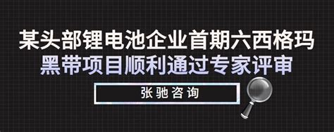 某头部锂电池企业首期六西格玛黑带项目顺利通过专家评审 哔哩哔哩