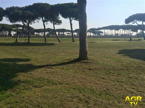 Roma Per La Cura Del Verde Di Giardini E Parchi Sottoscritto