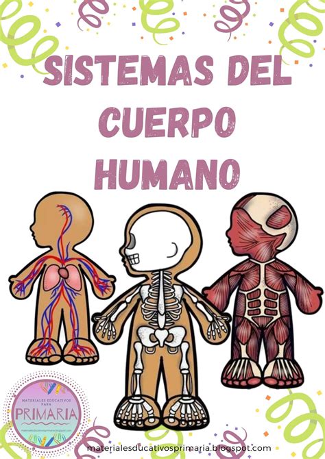 Sistemas Cuerpo Humano Sistemas Del Cuerpo Humano Sistemas Del