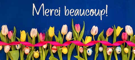 Merci Beaucoup Stock Photos - Free & Royalty-Free Stock Photos from ...