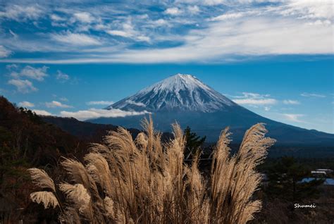 ススキと富士 By Shumei （id：8297905） 写真共有サイトphotohito