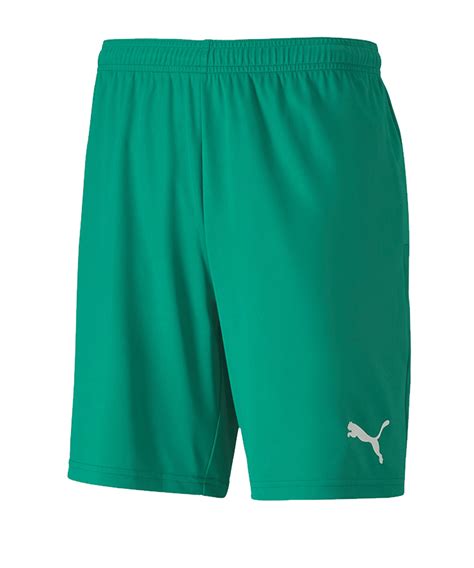 Puma Teamgoal Knit Short Blau F Shorts Funktionell Sport