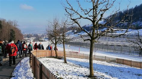 Pro Senectute Aargau Wandergruppe Bezirk Muri 13 Januar 2022 YouTube