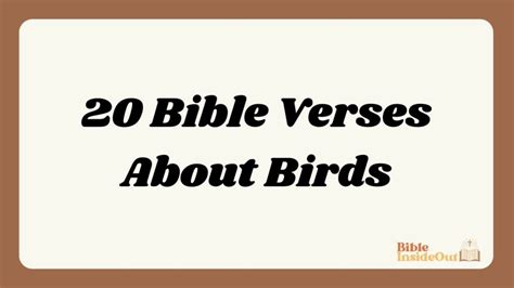 20 Bible Verses About Birds (With Commentary) - Bible InsideOut