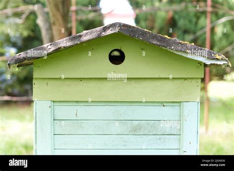 Artificial Hive Of Bees On A Farm Stock Photo Alamy