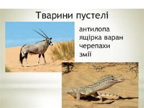 Природознавство 4 клас Африка Презентація