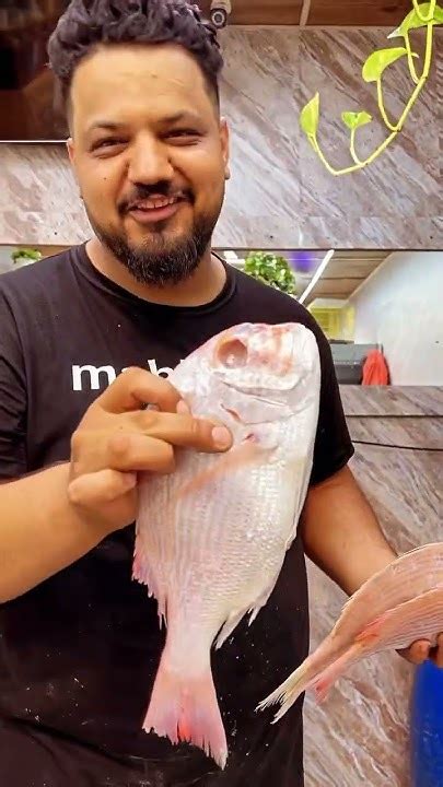 ماهی تازه ،راه تشخیص تازگی ماهی،فرق ماهی تازه وفاسدشده ،چطور ماهی تازه