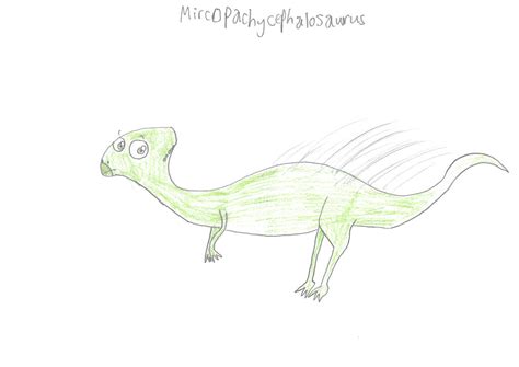 Micropachycephalosaurus by UPEOPilotJumbo on DeviantArt