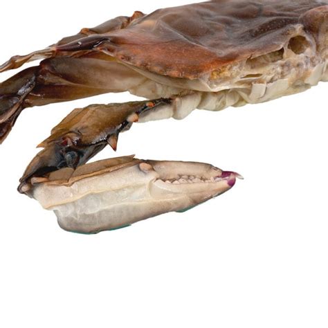 Linton S Seafood 6 1 2 Whale Soft Shell Crabs 24 Case