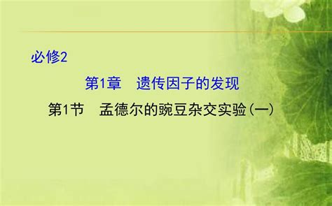 【世纪金榜】2016届高中生物第一轮复习课件 211孟德尔的豌豆杂交实验一word文档在线阅读与下载无忧文档