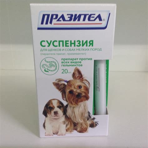 Празител суспензия для кошек и котят | инструкция, цена, отзывы