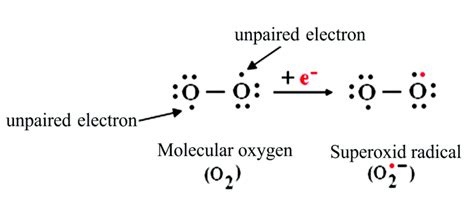 Write Lewis Strucure Of O Ion And Out Oxidation State