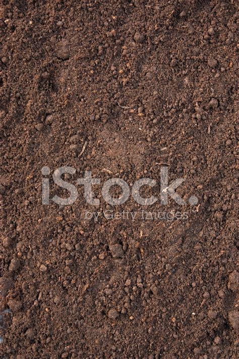 Soil Ppt Background