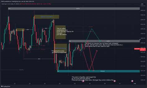 SAXO XAUUSD Chart Image By P18FX TradingView