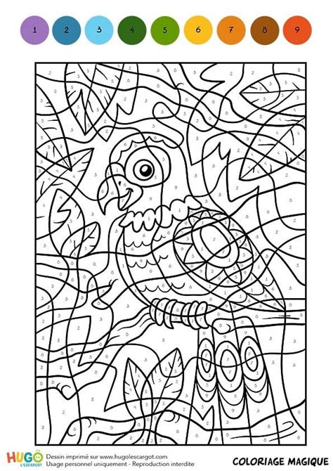 Coloriage et illustration d'un Coloriage Magique CM1, une perruche multicolore. Un dessin d ...