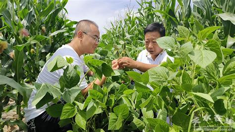 汪川镇：挖潜力扬优势 力促农业产业提档升级图 天水在线