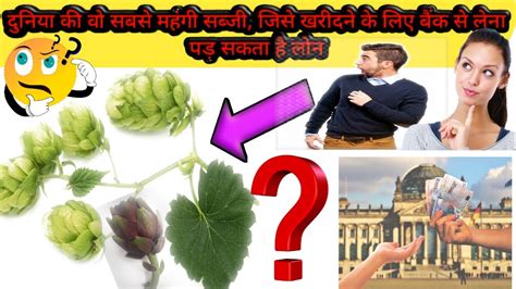 दुनिया की वो सबसे महंगी सब्जी Worlds Most Expensive Vegetable Youtube