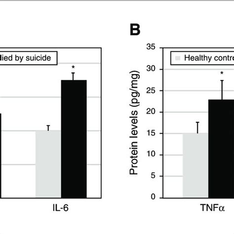 A Mean Mrna Expression Levels Of Tnfα Il 1β And Il 6 In The Download Scientific Diagram