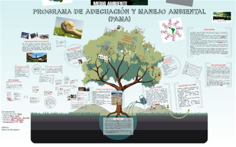 Programa De Adecuacion Y Manejo Ambiental Pama By Flor Calder N On Prezi