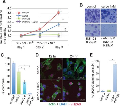 Figure From Mtorc Inhibition Re Sensitizes Platinum Resistant