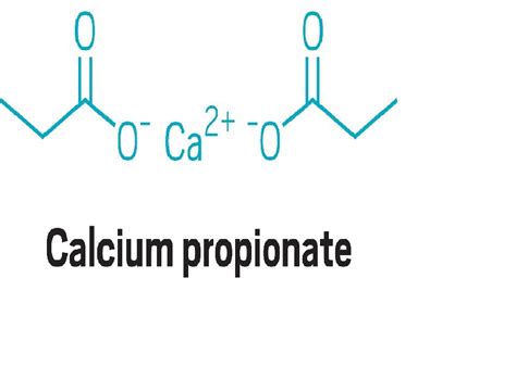 Calcium Propionate At Rs Kg Industrial Chemicals In Mumbai Id