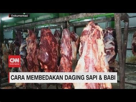 Cara Membedakan Daging Sapi Babi YouTube