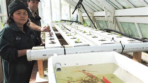 Aquaculture And Hydroponics In Focus At Horticultural Training Program